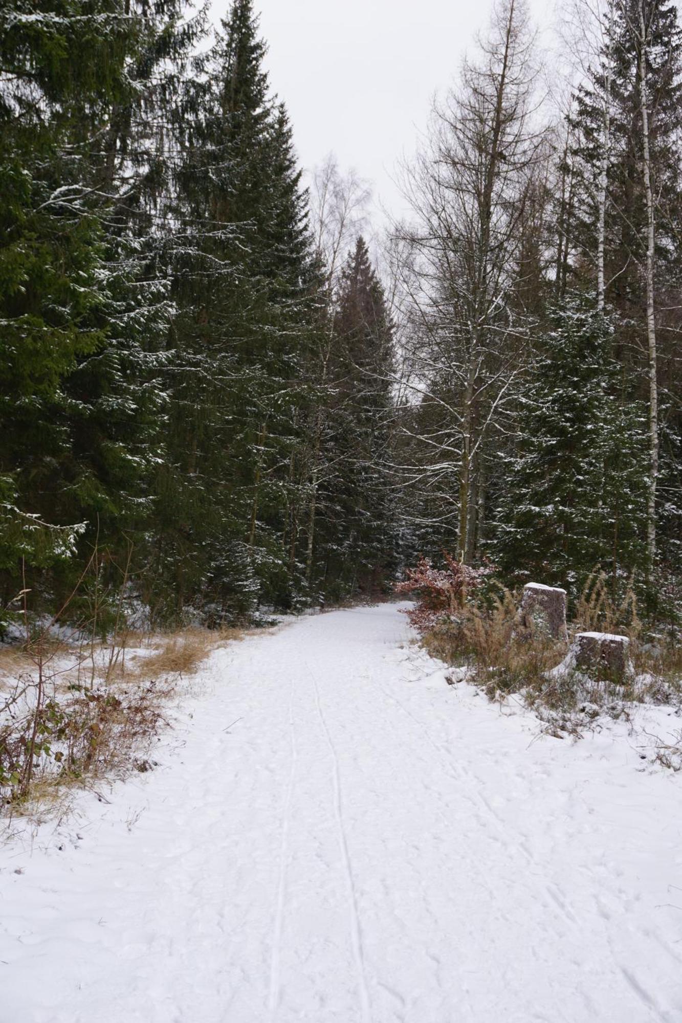 Muggelbude Im Harz 布劳恩拉格 外观 照片