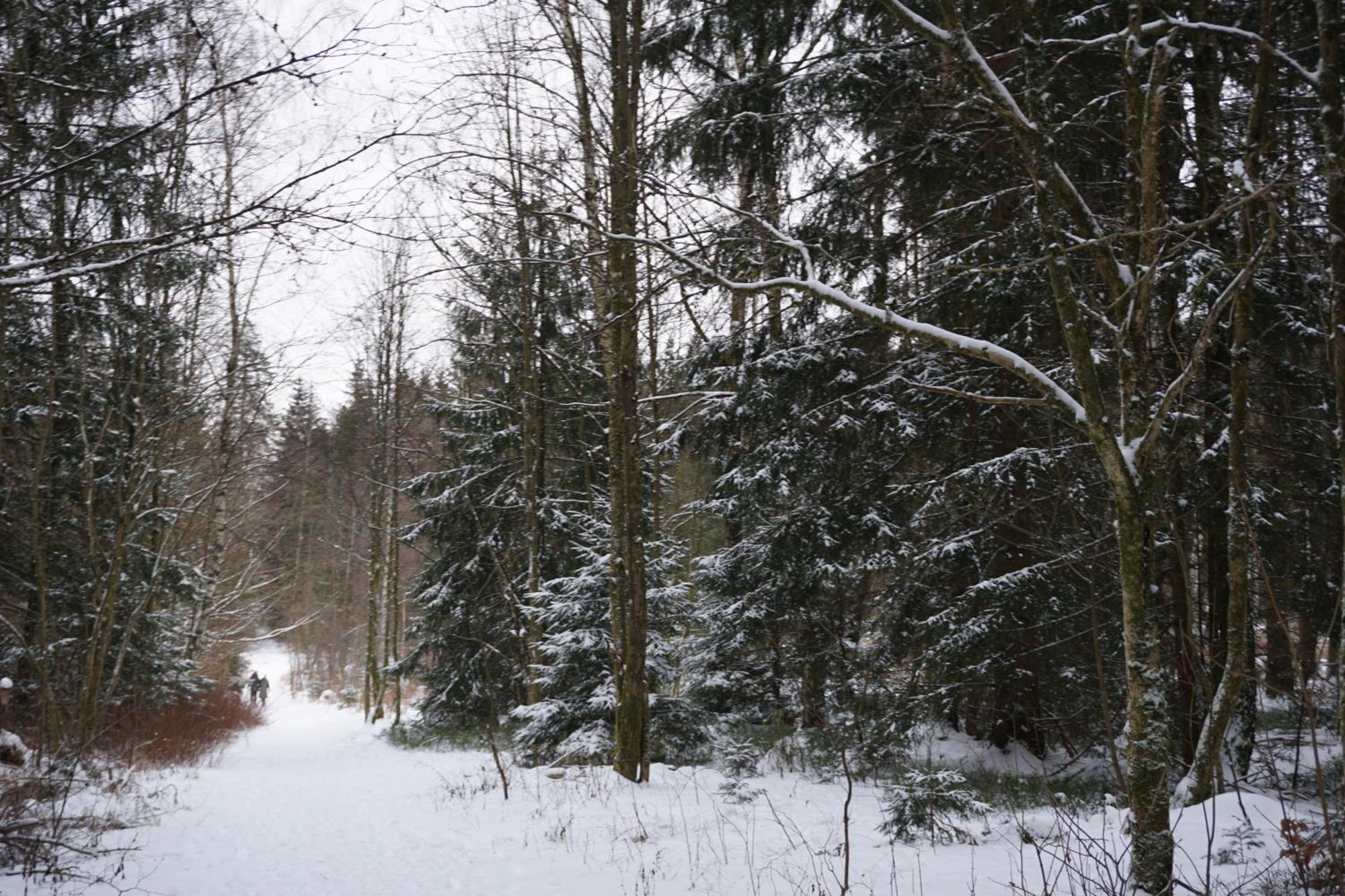 Muggelbude Im Harz 布劳恩拉格 外观 照片