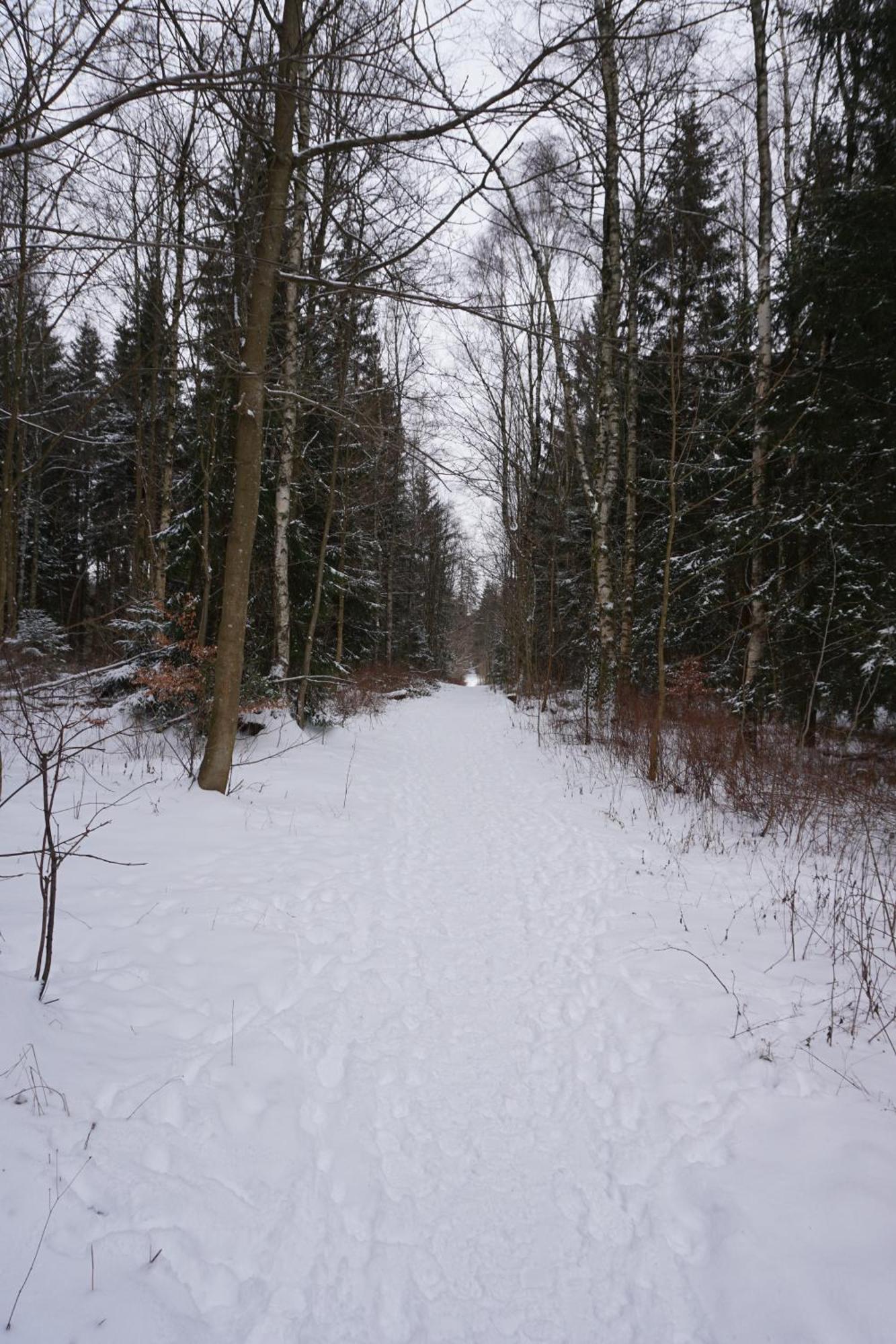 Muggelbude Im Harz 布劳恩拉格 外观 照片